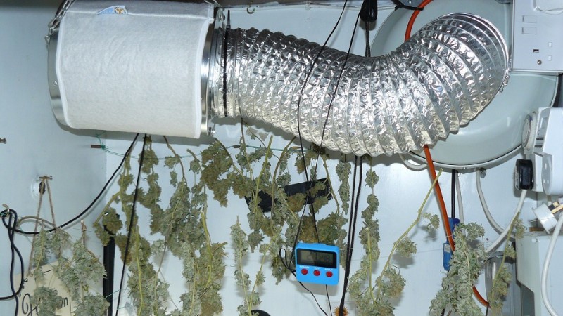 bigger drobe 23 11 21 024