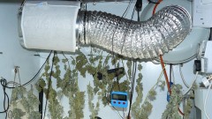 bigger drobe 23 11 21 024