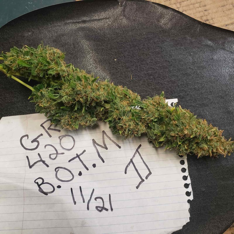 16377943476242547468245673498978