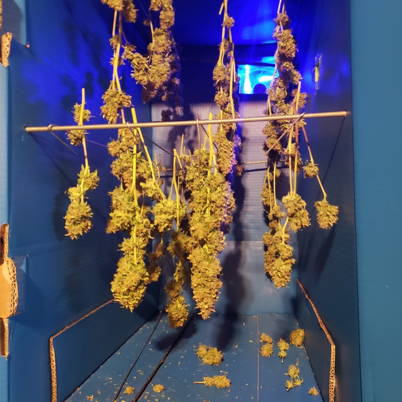 1637795322523862363233644364931