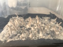 9A48B4B6-C8FC-4528-80EB-6E9B49BEE673