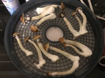 632A5009-2523-42AA-8566-9731900F762D