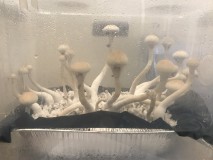 F7425798-6E00-4C34-B001-B47901C0BCB3