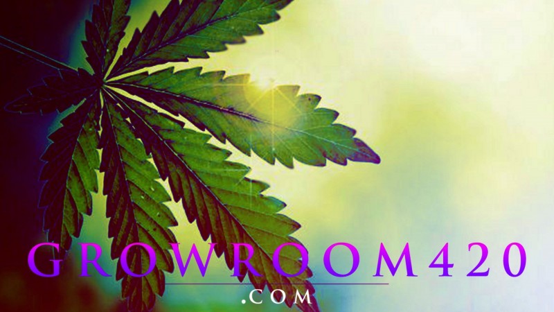 ED7BCEDE-9582-4871-9C89-CD892462B2DD