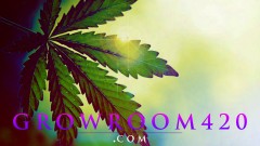 ED7BCEDE-9582-4871-9C89-CD892462B2DD