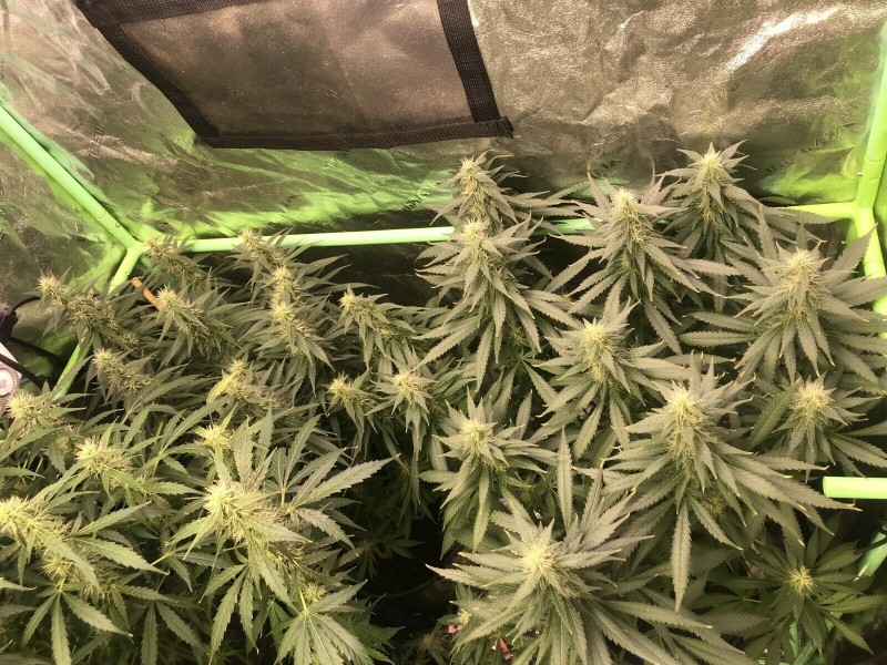 E48FEEB5-B0FE-4648-8B0D-3E87B191CFE3