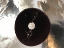 7C10C36D-134E-40A5-96A2-EDE6A14C21DB