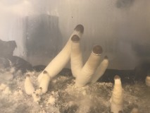 438EE1F6-9686-40BC-BDF3-9EB012754B8D