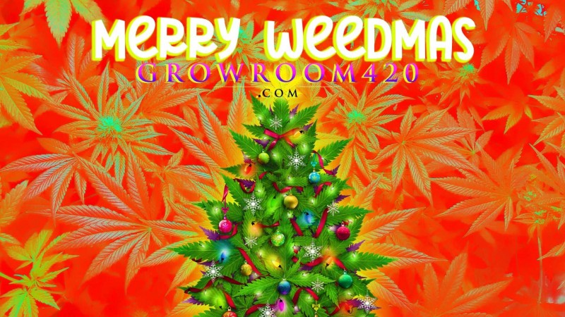 D61EA313-EF3C-4DEF-95DA-791840F4A1DA