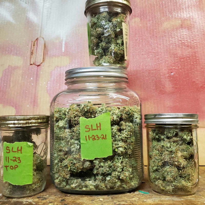 1638140584036223342707535906539