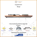 ISHBStrip60mainpic2_f135d4de-77ea-4531-a1b4-1dd72987b0a5_600x