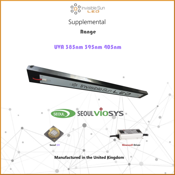 ISHUVA8mainpic2_f4640728-1265-4535-9c87-ea4db261b234_600x