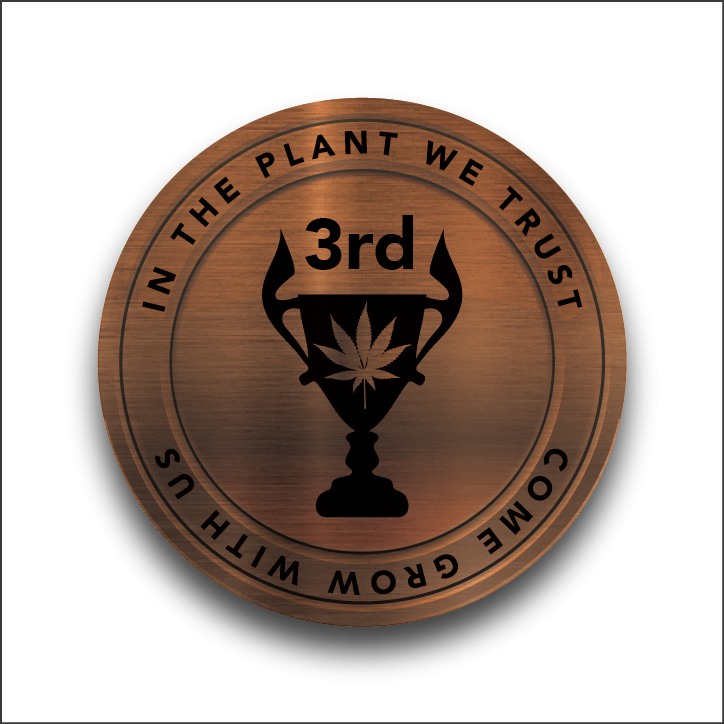 COINS_CURRENT DESIGN_PNG_-03