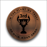 COINS_CURRENT DESIGN_PNG_-03