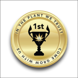 COINS_CURRENT DESIGN_PNG_-01(2)