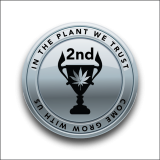 COINS_CURRENT DESIGN_PNG_-02