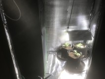 F6DBDE37-8C8F-4E2A-B16E-3CA7CD8349E1