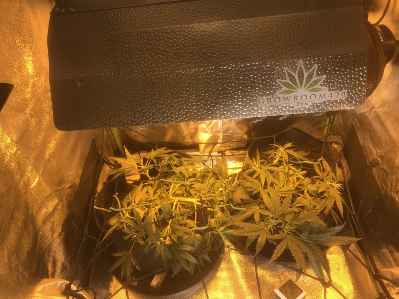 3E1B2A90-199F-463C-B61D-4E319DF7FFEE