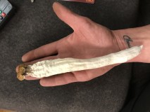 20703A52-3B90-4961-9140-1851F594A541