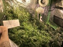 BD06ECA0-4D34-4666-887D-97C2E98DC1D4