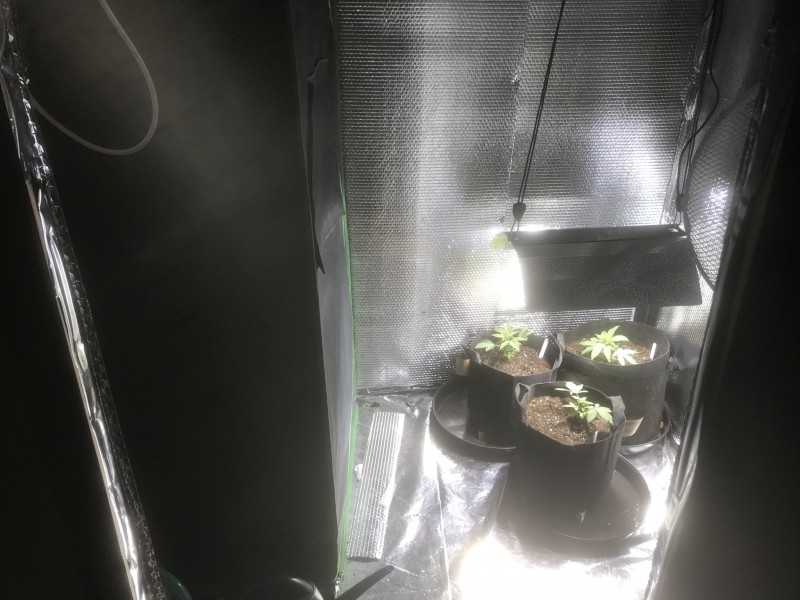 70AEFF4A-DB92-460D-A895-AF2B5D9BFDC7