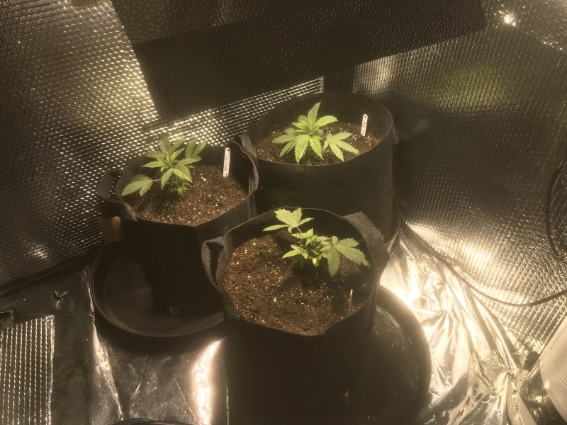 8C6732D9-1B23-4061-B129-08708D46159E