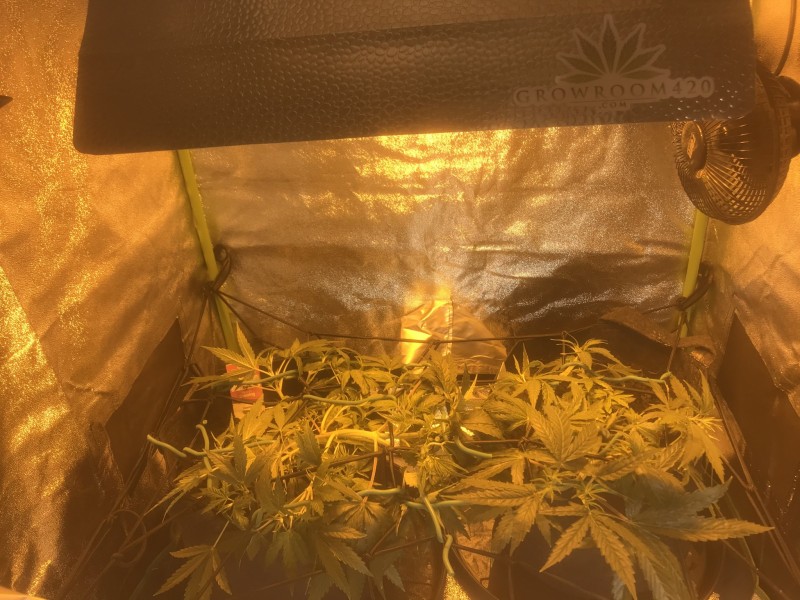 EBEB2FFA-62C6-4DA3-BF48-FA1F148AD59A