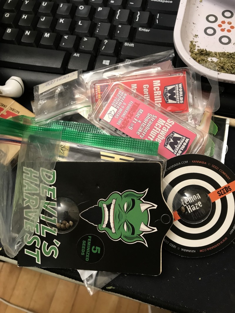 A39EA0DB-DC99-469E-964E-3218E56C328B