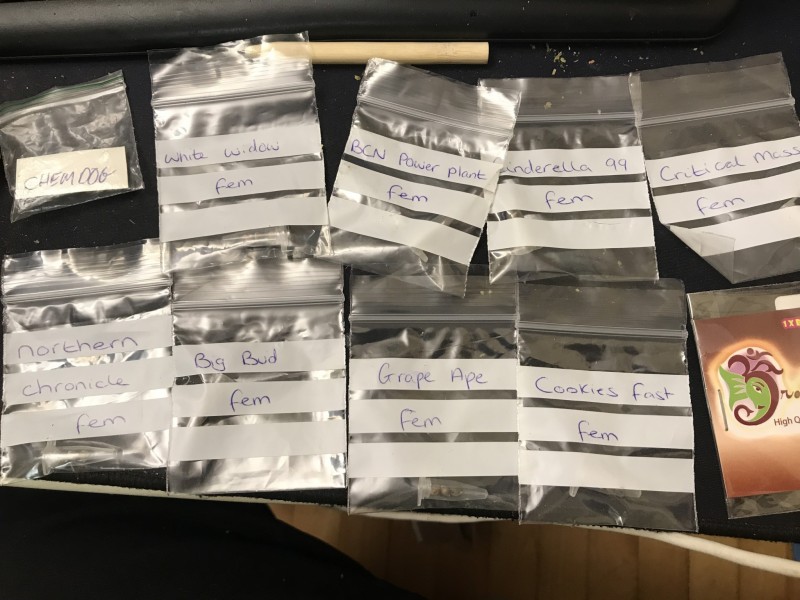 8DF9697D-F5A3-4B8F-8896-87F4E71AC0FD