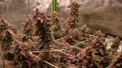 IMG_20211203_093036900_HDR