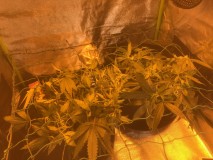 B0D4D994-39C2-483C-B300-19BBDCC8DE71