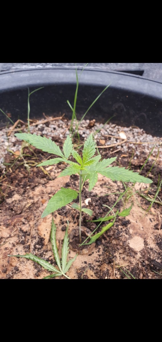 Screenshot_20211203-103425_Gallery