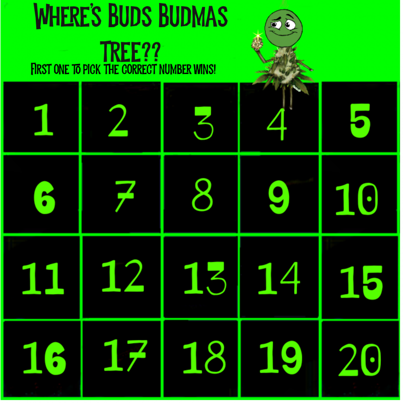 Untitled27_20211203093125