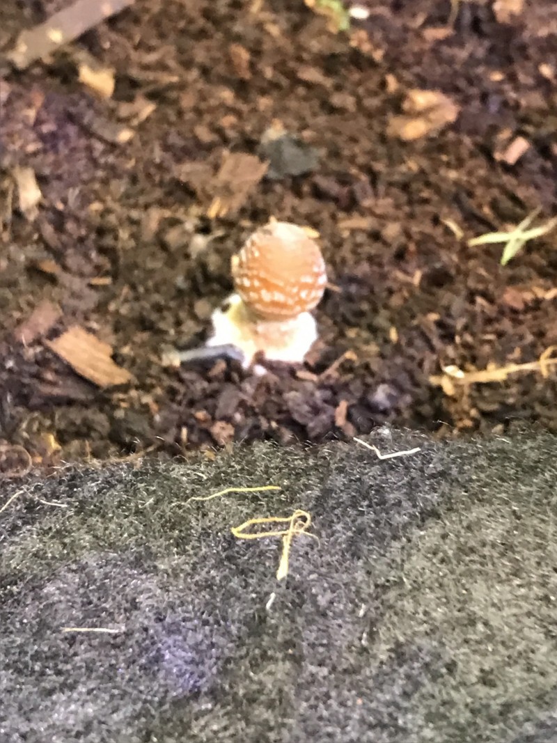 454272B2-8986-4A06-A8FD-3A00C695953F