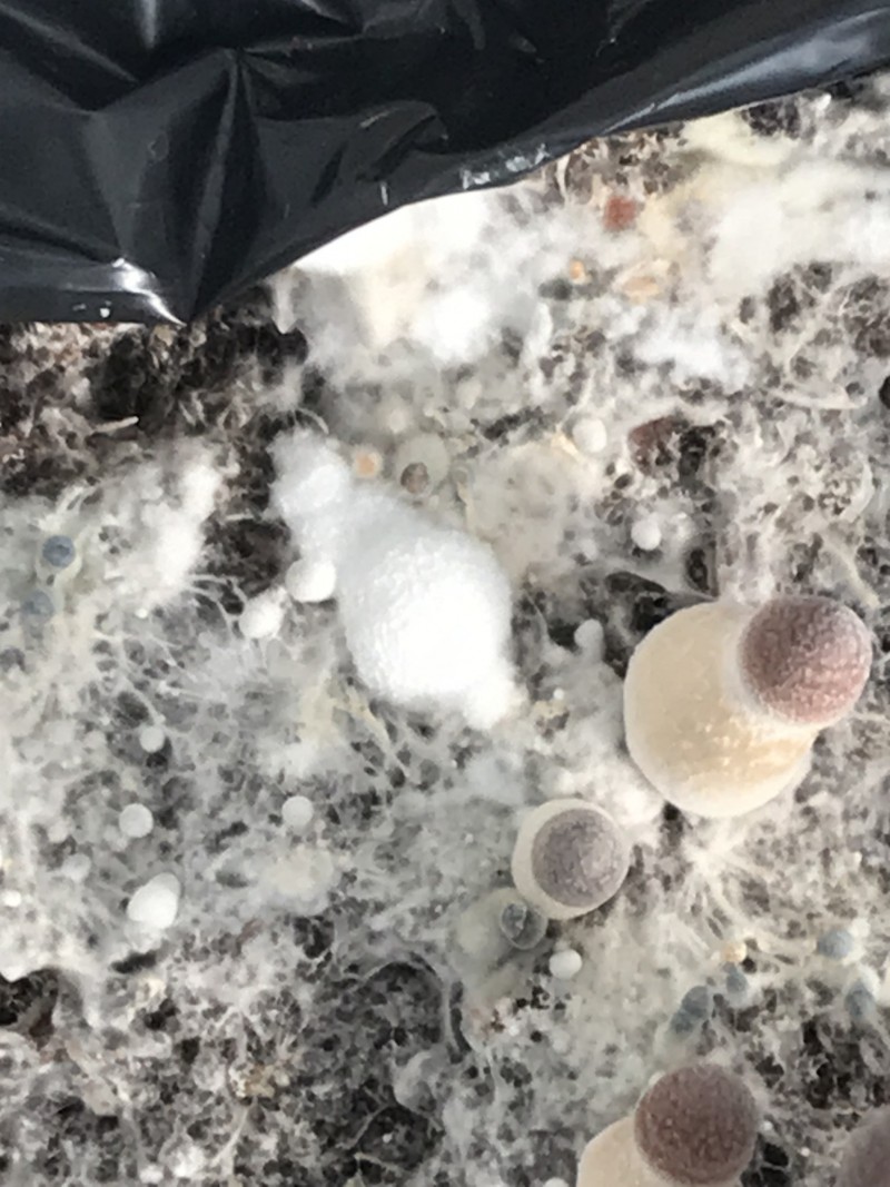 F72F23DE-EF9E-46C2-9577-A35C432280B8