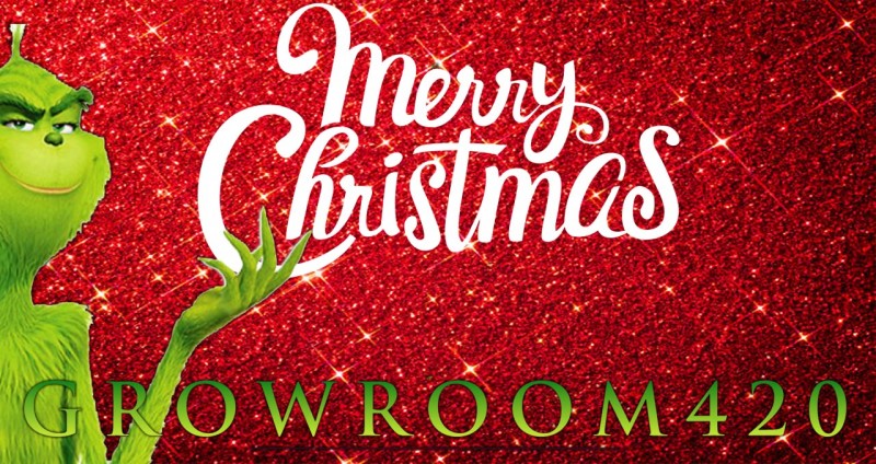 mn xmas ads Groomroom420 1