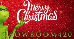 mn xmas ads Groomroom420 1