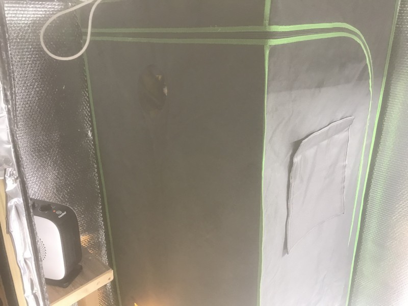 07717878-CD05-49FD-8A76-75AD89E52EAF