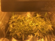 2E382F53-0A98-4EBD-8DF3-4B0F65ED8DD6