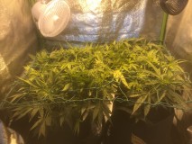 4EF747D0-B101-460B-AD74-CDE3EC7C8BB0