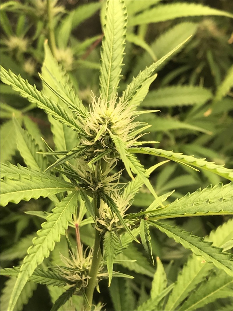 D84841D1-E4AA-4B0E-975A-ECF67E3B6BD2