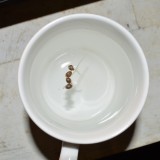 G13 Haze 15-16.10 (15) (798x800)