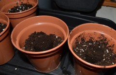 G13 Haze 15-16.10 (5) (800x521)