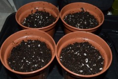 G13 Haze 15-16.10 (3) (800x532)