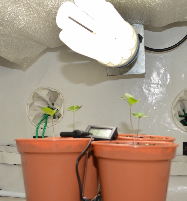 G13 Haze 24.10 (2) (746x800)