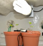 G13 Haze 24.10 (2) (746x800)