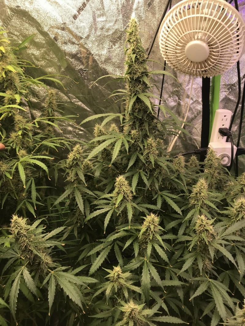 AD69695C-4447-428D-9D25-284DA6308AEB