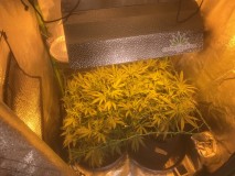 C30FC82C-CD64-4275-B272-F4ABC288C5C0