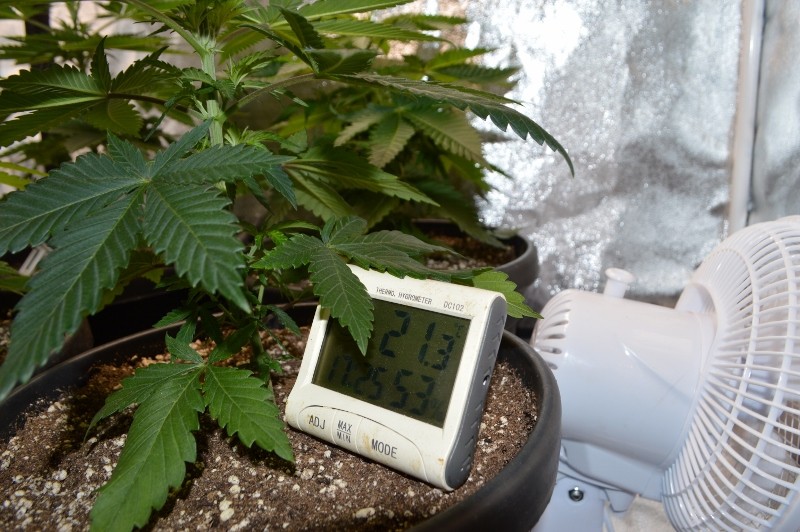 G13 Haze 3.12 (3) (800x532)