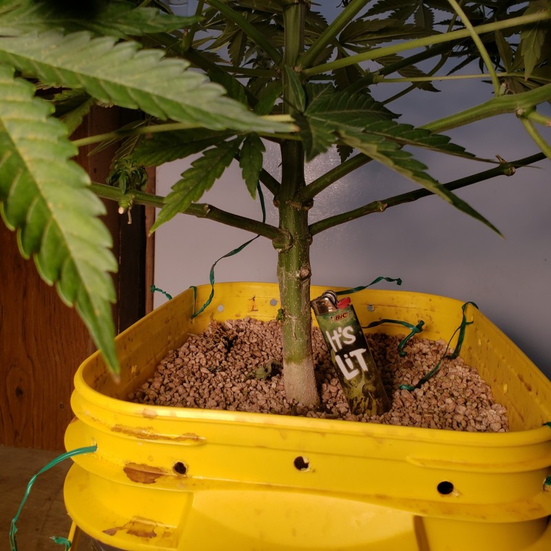 1639012419230492525961624696064